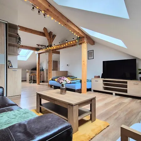 The Timonova Loft, - Old Town Košice